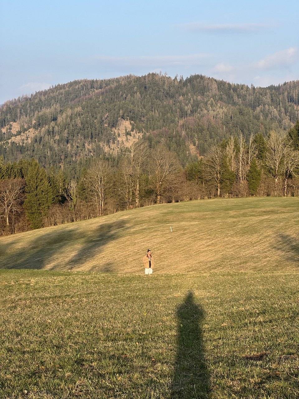 Bewegung auf der Wiese